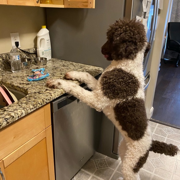 Me - Picture 10 of 17